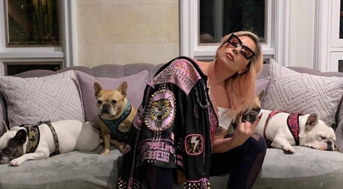 Леди Гага и ее собаки