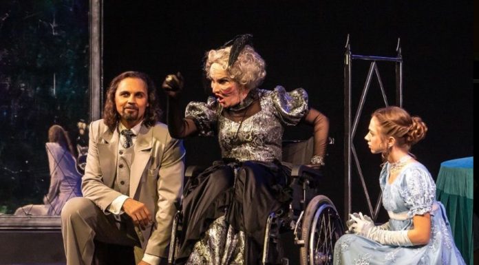 Театральная афиша января: репертуар для детей и взрослых