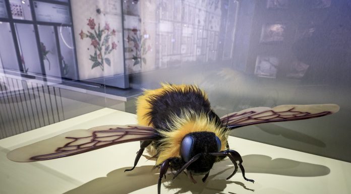 В Москве открыли новую площадку Биокластера — павильон № 28 «Пчеловодство»