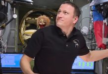 Домовёнок Кузя покоряет космос: сказочный персонаж добрался до МКС